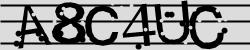 Retype the CAPTCHA code from the image